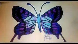 Fly away from love original Tobbi dream