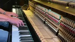 PATRICK HAMILTON - Fiore di fiori (LIVE VERSION)