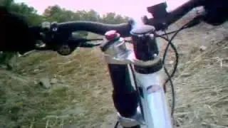 MTB BETA