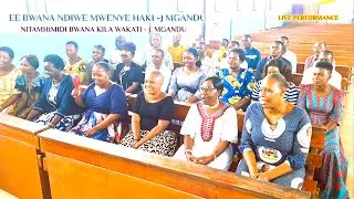 Ndiwe Mwenye Haki & Nitamuhimidi Bwana - J. Mgandu (Live Performance) #kwayakatoliki