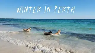 Perth weather in Winter, August 2023