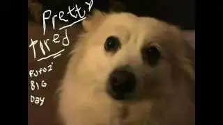 Pretty Tired - B.B.F.T.D.