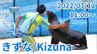 2022.07.12 11:00～「きずな/Kizuna」【#えのすい #新江ノ島水族館】