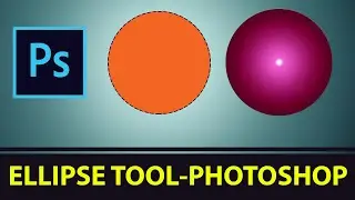 How to Use the Ellipse Tool in Photoshop: A Beginner&rsquo;s Guide