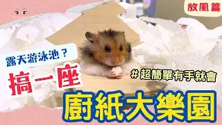 黃金鼠放風都在幹嘛？歐尼竟然比廚紙還要有誘惑力？
