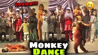 Monkey ka dance🙊|abdullah bhag gaya😰|MM YT