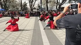 Korea Traditional martial arts demonstration 남산 전통 무예 시범 1편