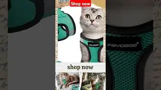 FAYOGOO Cat Harness and Leash Set for Walking Escape Proof