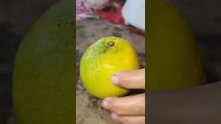 Mosambi Lebu Juice || Sweet lime juice #shorts #lemon