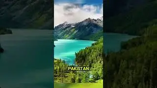 Top 5 Countries with the Largest Muslim Populations in 2025 #shorts #2050 #viral #trending #islam
