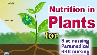 Paramedical biology questions 2021 | Bihar paramedical biology question 2021 | B.sc nursing biology