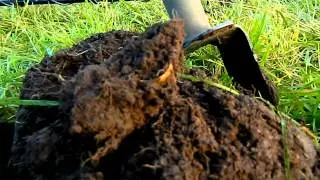 October produces Gold! - Metal Detecting in Scotland.