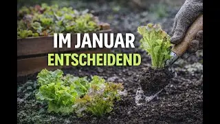 Warum diese Gartenarbeiten im Januar entscheidend sind!