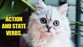 ACTION vs STATE verbs. What are the differences in English?