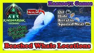 Beached Whale Locations in Ragnarok Ascended | Easy Spoiled Meat & Oil!💥