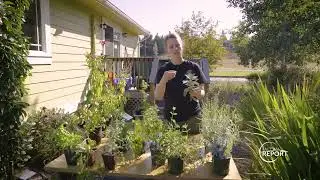 EnviroHouse Workshop Series 2023 - Tacoma Report - February 24, 2023