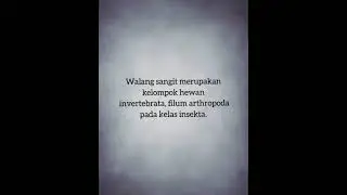 Laporan Praktikum Dasar perlindungan tanaman UST (Dimas Permana 2019010011)