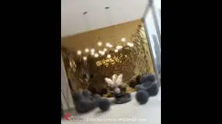 Modern House Wall Interior work | Best Home Luxury Wall Interiors | Luxury Homes Wall Interiors