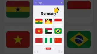 Match the flags of any country.Brainilis game.