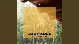Nederb&ouml;rd