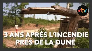 Incendie du Bassin d'Arcachon 3 ans après
