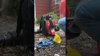 #shorts cleaning the leaves in the garden, first pass early fall