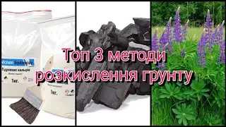 Топ 3 методи розкислення грунту. Дешево, швидко і з супутніми ефектами