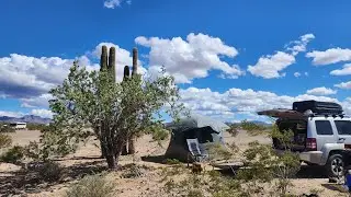 Quartzsite Arizona. Feeding the hummingbirds.