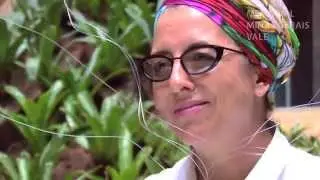 Performance no Memorial: Troca-se comida por hist&oacute;ria de comida (de afeto)