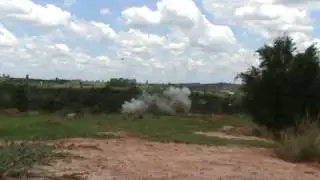 10.5 kg ANFO vs tree and tree wins