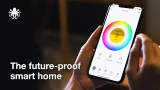 Designing Pepper: the Future-Proof Smart Home