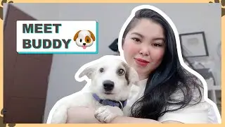 I ADOPTED AN ASPIN 🐶 MEET BUDDY EVERYONE 💕 | Maricel Tulfo-Tungol