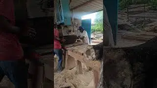 #sawmillwood #bandsaw #wheelsaw
