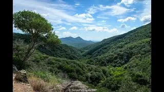 Off-Road Paradise in Catalonia | Cantallops &rarr; Requesens