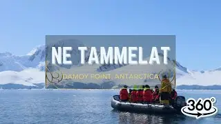 Sounds of Antarctica - B&ouml;rgen bay, Antarktis - 360 | Ne Tammelat