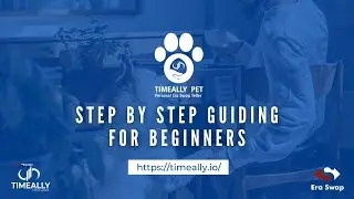 TimeAlly Solutions | Personal Era Swap Teller (PET) | Step by Step Guiding for Beginners