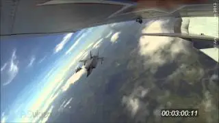 MiG-31 - Freedom Fighters