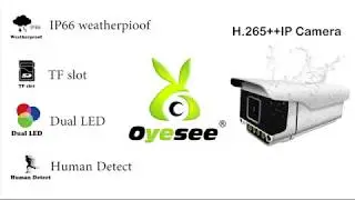 Outdoor Dual LED security camera AI Human Detection