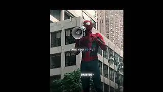Little spider man