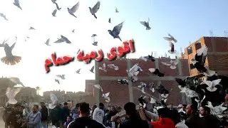 اقوى رميه حمام ممكن تشوفها في حياتك الجبل الاصفر مع القلج