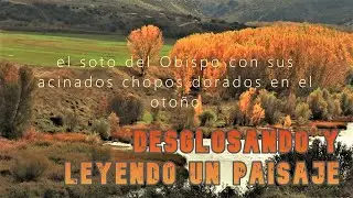 DESGLOSANDO Y LEYENDO UN PAISAJE en el término de Almaraz de Duero