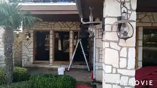 Abilene TX Live Bee Removal