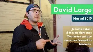 David Large - #2 Dans la Cave - Beaujolais Nouveau