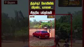 திருச்சூர் கோயிலில் மிரண்ட யானை..! சிதறிய பக்தர்கள்! | Thrissur Elephant Viral | Kerala |