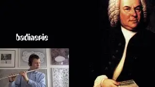 BADINERIE - Oskar Marijan (Flute) & v4m.orchestra