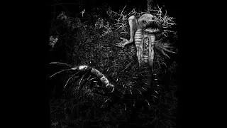 Shagnum (Full Album; 2005) [Grindcore/Sludge Metal]