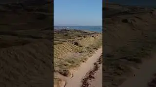 Braunton Burrows North Devon