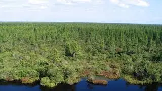 Pocosin Lakes National Wildlife Refuge | Wikipedia audio article
