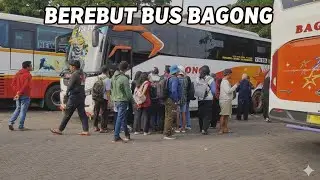 Bus Bagong jadi Rebutan Penumpang