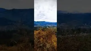 ❤ #nature #shorts #viral #viralshorts #trending #ytshorts #trendingshorts #shortsfeed #shortvideo